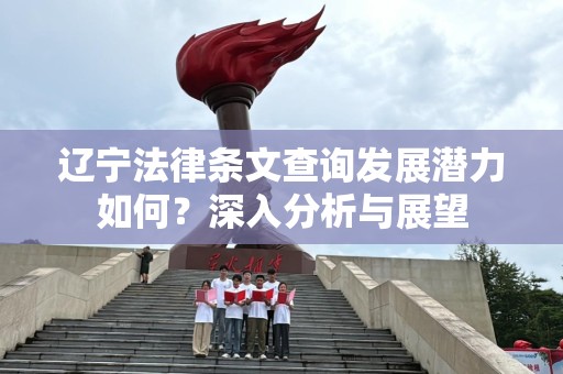 辽宁法律条文查询发展潜力如何？深入分析与展望