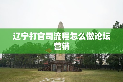 辽宁打官司流程怎么做论坛营销