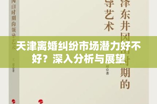天津离婚纠纷市场潜力好不好？深入分析与展望