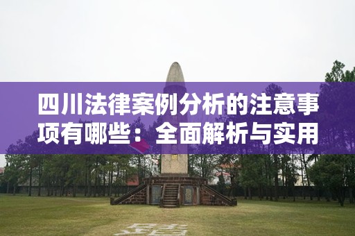 四川法律案例分析的注意事项有哪些：全面解析与实用指导