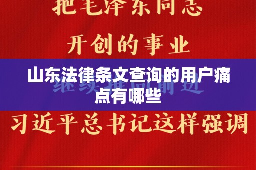 山东法律条文查询的用户痛点有哪些