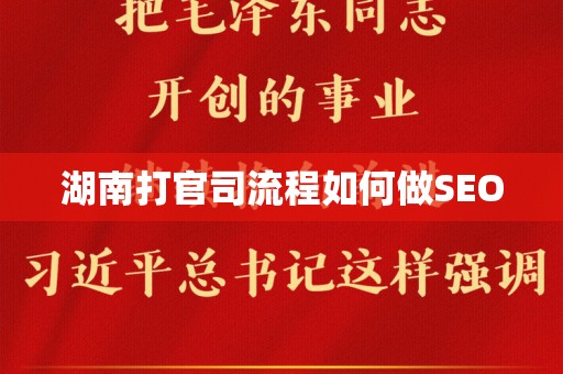 湖南打官司流程如何做SEO