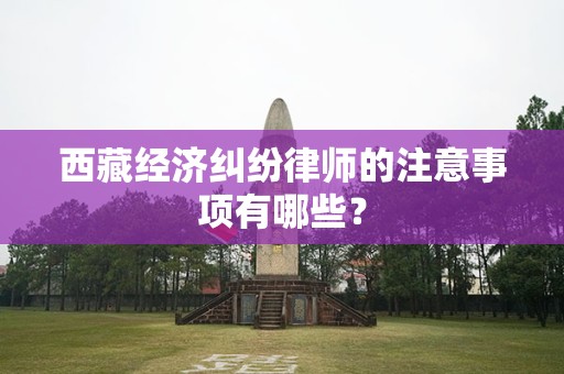 西藏经济纠纷律师的注意事项有哪些？