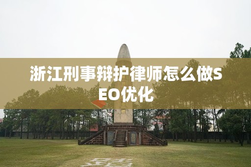 浙江刑事辩护律师怎么做SEO优化