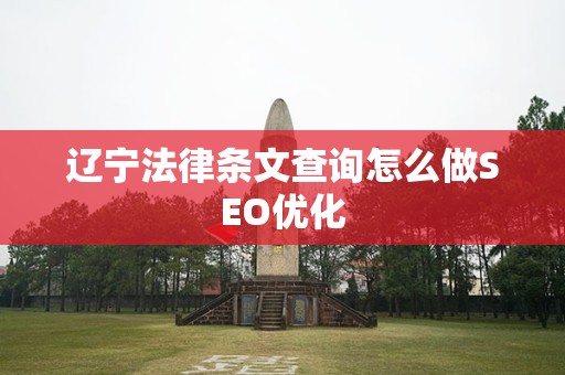 辽宁法律条文查询怎么做SEO优化