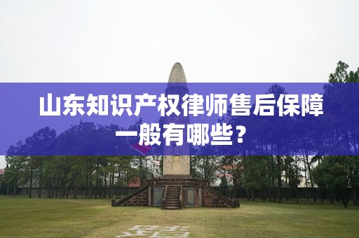 山东知识产权律师售后保障一般有哪些？