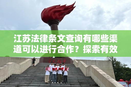 江苏法律条文查询有哪些渠道可以进行合作？探索有效的法律查询方式