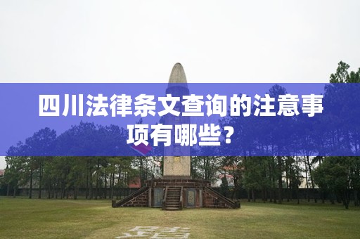 四川法律条文查询的注意事项有哪些？
