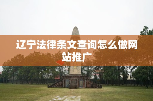 辽宁法律条文查询怎么做网站推广