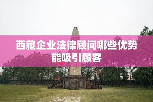 西藏企业法律顾问哪些优势能吸引顾客