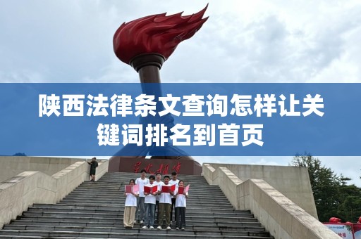 陕西法律条文查询怎样让关键词排名到首页