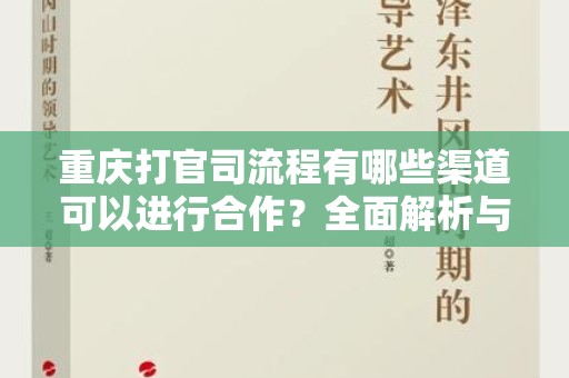 重庆打官司流程有哪些渠道可以进行合作？全面解析与建议