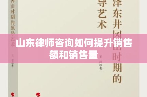 山东律师咨询如何提升销售额和销售量