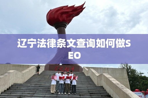 辽宁法律条文查询如何做SEO