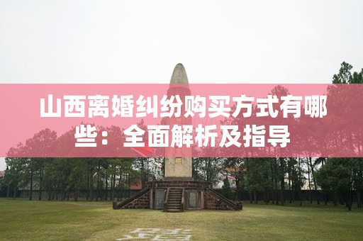 山西离婚纠纷购买方式有哪些：全面解析及指导