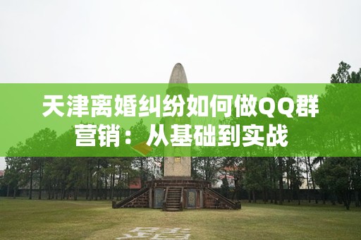 天津离婚纠纷如何做QQ群营销：从基础到实战