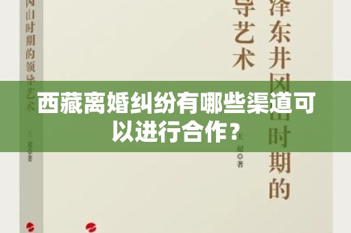 西藏离婚纠纷有哪些渠道可以进行合作？