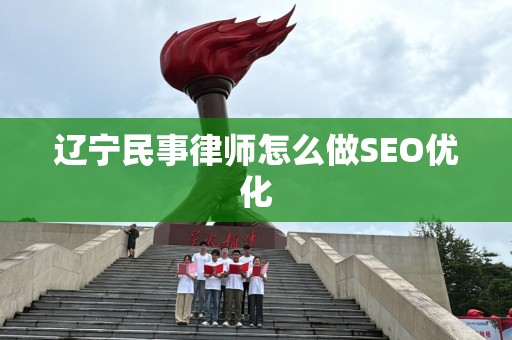 辽宁民事律师怎么做SEO优化