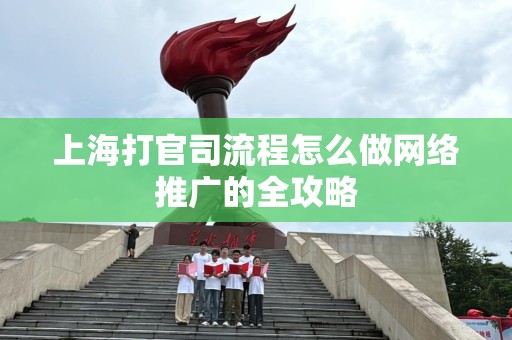 上海打官司流程怎么做网络推广的全攻略