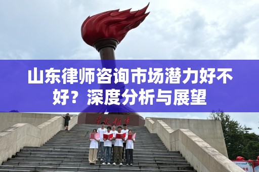 山东律师咨询市场潜力好不好？深度分析与展望