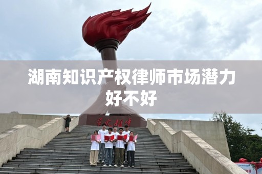 湖南知识产权律师市场潜力好不好
