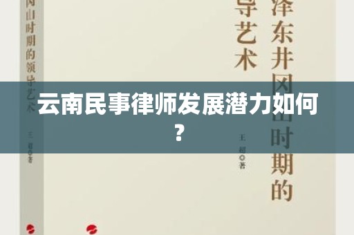 云南民事律师发展潜力如何？