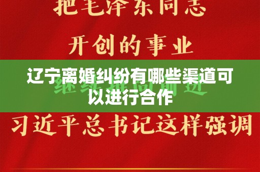辽宁离婚纠纷有哪些渠道可以进行合作