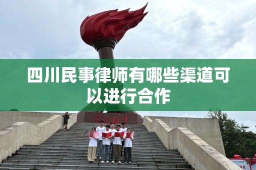 四川民事律师有哪些渠道可以进行合作