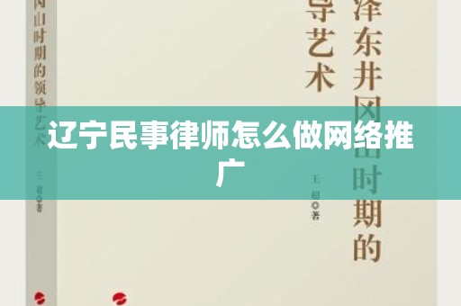 辽宁民事律师怎么做网络推广