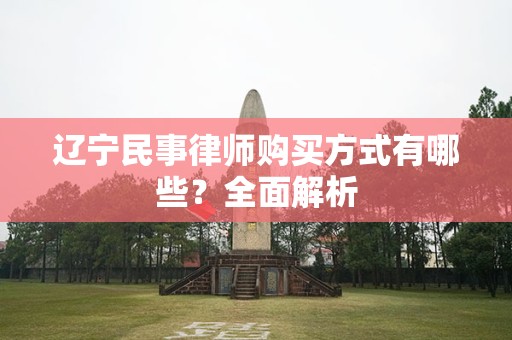 辽宁民事律师购买方式有哪些？全面解析
