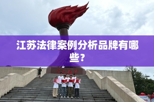 江苏法律案例分析品牌有哪些？