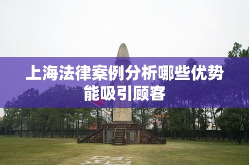 上海法律案例分析哪些优势能吸引顾客