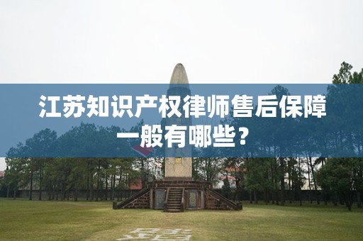 江苏知识产权律师售后保障一般有哪些？