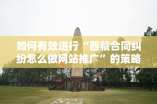 如何有效进行“西藏合同纠纷怎么做网站推广”的策略