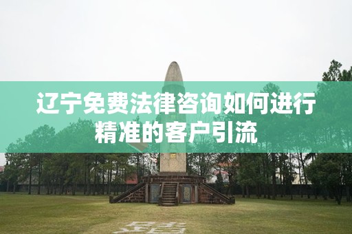 辽宁免费法律咨询如何进行精准的客户引流