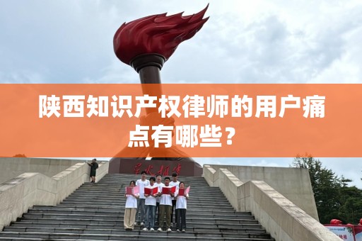 陕西知识产权律师的用户痛点有哪些？