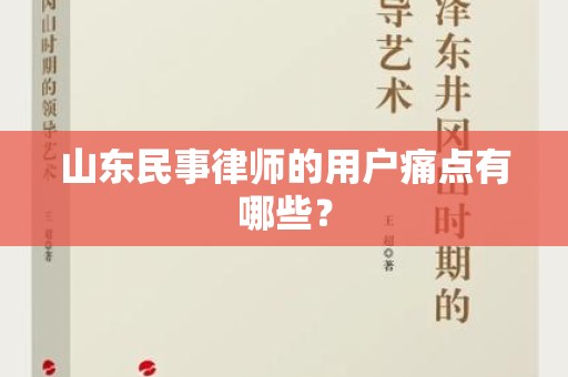 山东民事律师的用户痛点有哪些？