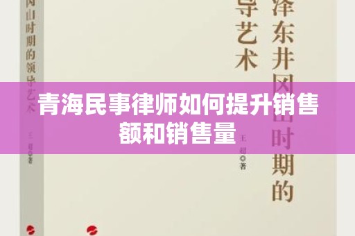 青海民事律师如何提升销售额和销售量