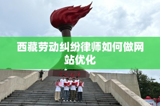 西藏劳动纠纷律师如何做网站优化