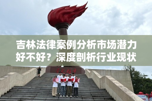 吉林法律案例分析市场潜力好不好？深度剖析行业现状与未来发展