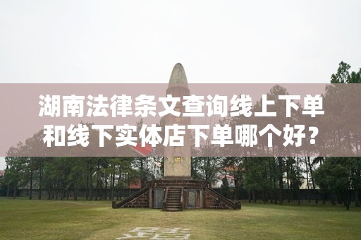 湖南法律条文查询线上下单和线下实体店下单哪个好？全面解析与比较