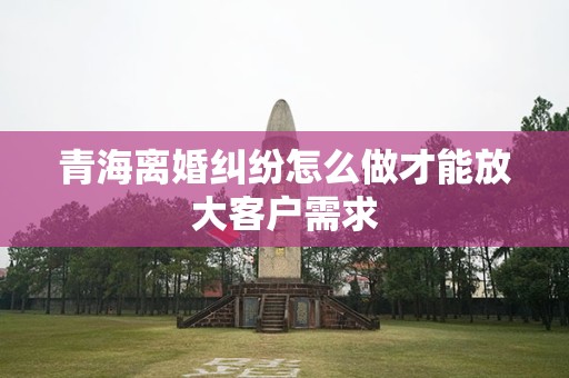 青海离婚纠纷怎么做才能放大客户需求