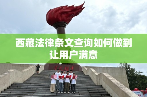 西藏法律条文查询如何做到让用户满意