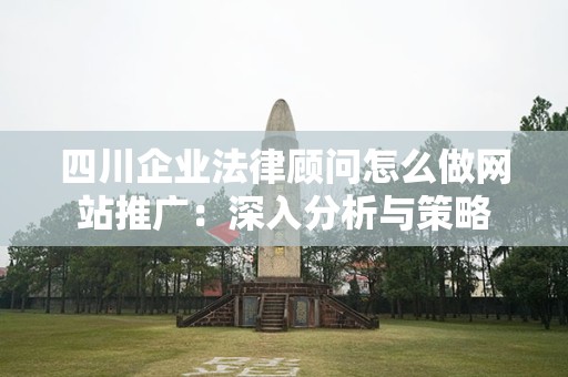 四川企业法律顾问怎么做网站推广：深入分析与策略